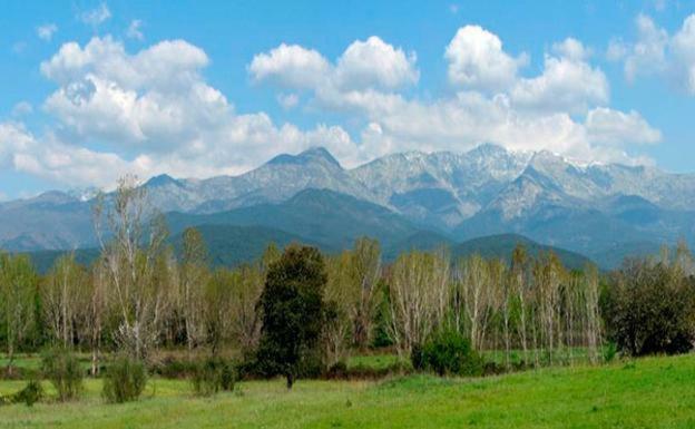 Apartamentos Fuente Arriba Poyales Del Hoyo ภายนอก รูปภาพ